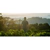 Kawa rozpuszczalna CABRAL CAFE Fazenda Ambiental Fortaleza 200 g (Rzemieślnicza) Aromat Delikatny