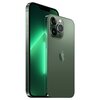 Smartfon APPLE iPhone 13 Pro 5G 128GB 6.1" 120Hz Alpejska zieleń 3K557Z A (DEMO) Funkcje aparatu Efekt bokeh