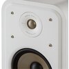 Biała kolumna głośnikowa z widocznym logo "POLK AUDIO" oraz napisami "AMERICAN HIFI" i "EST. 1972". Na zdjęciu widać głośnik z metalicznym wykończeniem oraz cztery śruby mocujące.