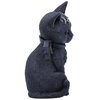 Figurka NEMESIS Cult Cuties Malpuss Rodzaj Figurka