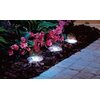 Lampa solarna SASKA GARDEN 26313 (4 szt.) Głębokość [mm] 130