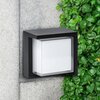 Kinkiet zewnętrzny GOLDLUX 330963 Klasa efektywności energetycznej E