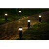 Lampa solarna SUPERLED Torsi 12 szt. Głębokość [mm] 60