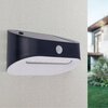 Kinkiet zewnętrzny solarny SUPERLED Pluton 5220 Stopień ochrony [IP] IP44