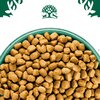 Karma dla psa JAMES WELLBELOVED Adult Monobiałkowa Małe rasy Indyk 1.5 kg Smak Indyk z ryżem