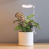 Lampa LED do roślin KOBI Design Verdi 001458 Barwa światła Ciepłobiała