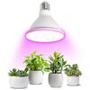 Żarówka LED do roślin KOBI Design Planty 9W E27 Kąt rozsyłu światła 38°