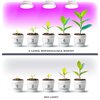 Żarówka LED do roślin KOBI Design Planty 9W E27 Liczba cykli 50000