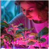 Żarówka LED do roślin KOBI Design Planty 24W E27 Rodzaj Żarówka do roślin