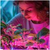 Żarówka LED do roślin KOBI Design Planty 40W E27 Barwa światła Naturalne