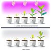 Żarówka LED do roślin KOBI Design Planty FGS 8W E27 Moc [W] 8