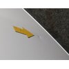 Lodówka LIEBHERR CTPE 251 157.1cm Biała Liczba pojemników na warzywa 1