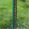 Podpórka do roślin BROWIN 720443 150 cm (10 szt.) Składana konstrukcja Nie
