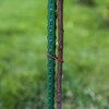 Podpory do roślin BROWIN 720442 120 cm (10 szt.) Rodzaj Podpora