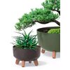 Donica PROSPERPLAST Gracia Low ECO Wood 6.8L Beżowy Materiał Drewno