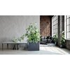 Donica PROSPERPLAST Urbi Case Beton Effect (49.8 x 58 x 18 cm) 44L Jasnoszary Materiał Tworzywo sztuczne