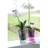 Doniczka PROSPERPLAST Coubi Orchid DUOW160P-CPRB 2.4L Fioletowy Materiał Tworzywo sztuczne