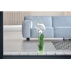 Doniczka PROSPERPLAST Coubi Orchid DUOW160P-CPY2 2.4L Zielony Rodzaj Doniczka