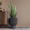 Donica PROSPERPLAST Milly DBMIG400-S433 41L Antracytowy Rodzaj Doniczka