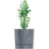 Donica PROSPERPLAST Tubo P Beton Effect DPOP240E-425U 8L Marengo Materiał Tworzywo sztuczne
