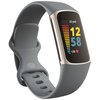 Smartband Google FITBIT Charge 5 GPS Niebiesko-platynowy