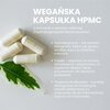 Kompleks witamin i minerałów AXMED Adek Pro (60 kapsułek) Liczba kapsułek 60