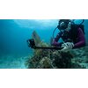 Uchwyt selfie GOPRO AGXTM-001 do Hero 7/8/9/10/11/12/13 Black/Max Gwarancja Dożywotnia