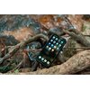 Smartfon OUKITEL WP38 6/256GB 6.52" Czarno-zielony Rozdzielczość nagrywania wideo Full HD