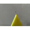 Zmywarka BEKO bPRO500 BDIN38550C AquaFlex Autootwieranie drzwi CornerIntense 60cm Zastosowane technologie Acrobat