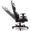 Fotel DXRACER Formuła FE32 Czarno-biały Regulowane oparcie Tak