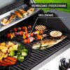 Grill gazowy BROWIN dragON BBQ G201 331201 18.8 kW 67,5 x 43,5 cm Materiał wykonania rusztu Żeliwo