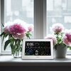 Stacja pogody METEO SP401 Funkcje dodatkowe Budzik z funkcją drzemki