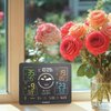 Stacja pogody METEO SP301 Funkcje dodatkowe Alarm temperaturowy