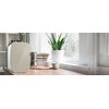 Lodówka CECOTEC Bolero MiniCooling Bahamas 00142 Beżowy Rodzaj Lodówka