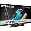Telewizor z wyświetlaczem pokazującym niebieskiego ptaka na gałęzi, z widocznymi napisami: "HYUNDAI", "QLED 55"", "android tv" oraz "Dolby Atmos".