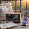 Radio BLOW RK5 Cyfrowe Przenośne Czarno-brązowy Alarm (budzik) Tak