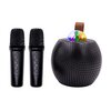 Zestaw karaoke MUSICMATE MM-SC150-B GLEAMSTAR Rodzaj Zestaw karaoke