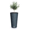 Donica PROSPERPLAST Furu Slim DFRH250-S433 15.5L Antracytowy Obróbka Tworzywo sztuczne