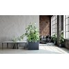 Donica PROSPERPLAST Urbi Case T DUC600T-S433 (58 x 18 x 49.8 cm) Antracytowy Materiał Tworzywo sztuczne