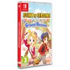 Story of Seasons Grand Bazaar Gra NINTENDO SWITCH Platforma Nintendo Switch
