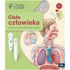 Książka Czytaj z Albikiem Ciało człowieka + Pióro Lucie Ujcová (twarda okładka) Okładka Twarda