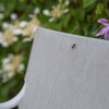 Zestaw mebli ogrodowych PATIO Lea Biały Kolor Biało-szary