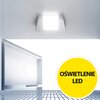 Lodówka BEKO TS190340N 81.8cm Biała Liczba półek na butelki 0