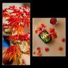 LEGO 10348 Botanicals Klon palmowy bonsai Kod producenta 10348