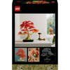 Pudełko przedstawia model LEGO bonsai z czerwonymi liśćmi klonu, umieszczony na białej powierzchni, z narzędziem obok. Na dole opakowania znajdują się trzy mniejsze zdjęcia: modelu bonsai, rozłożonych liści oraz schematu z wymiarami, a w lewym górnym rogu