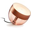 Lampa biurkowa PHILIPS HUE Iris 929002376803 Stopień ochrony [IP] IP20