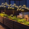 Lampka solarna SASKA GARDEN Dmuchawiec drzewko fajerwerki Wysokość [mm] 720