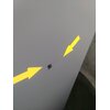 Lodówka BOSCH KGN367LDF No Frost 186cm Inox Liczba pojemników na warzywa 1