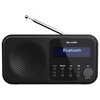 Radio SHARP DR-P420 Przenośne Czarny Waga [g] 400