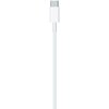 Kabel USB-C - Lightning APPLE 1 m Złącze 1 USB-C